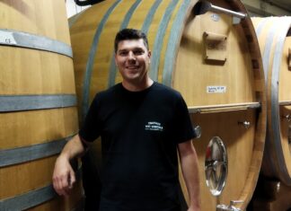 Pupillin : comment se présentent les vendanges ?