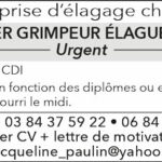 J.Paulin-Elagueur_Emploi_S41