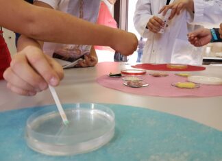 FESTIVAL MICROB’SCOPIC : SPORT ET SCIENCES 3, 2, 1 PARTEZ !