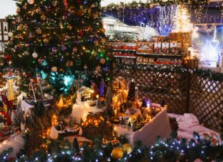 Dole. La magie de Noël s’invite à la Jardinerie Jurassienne