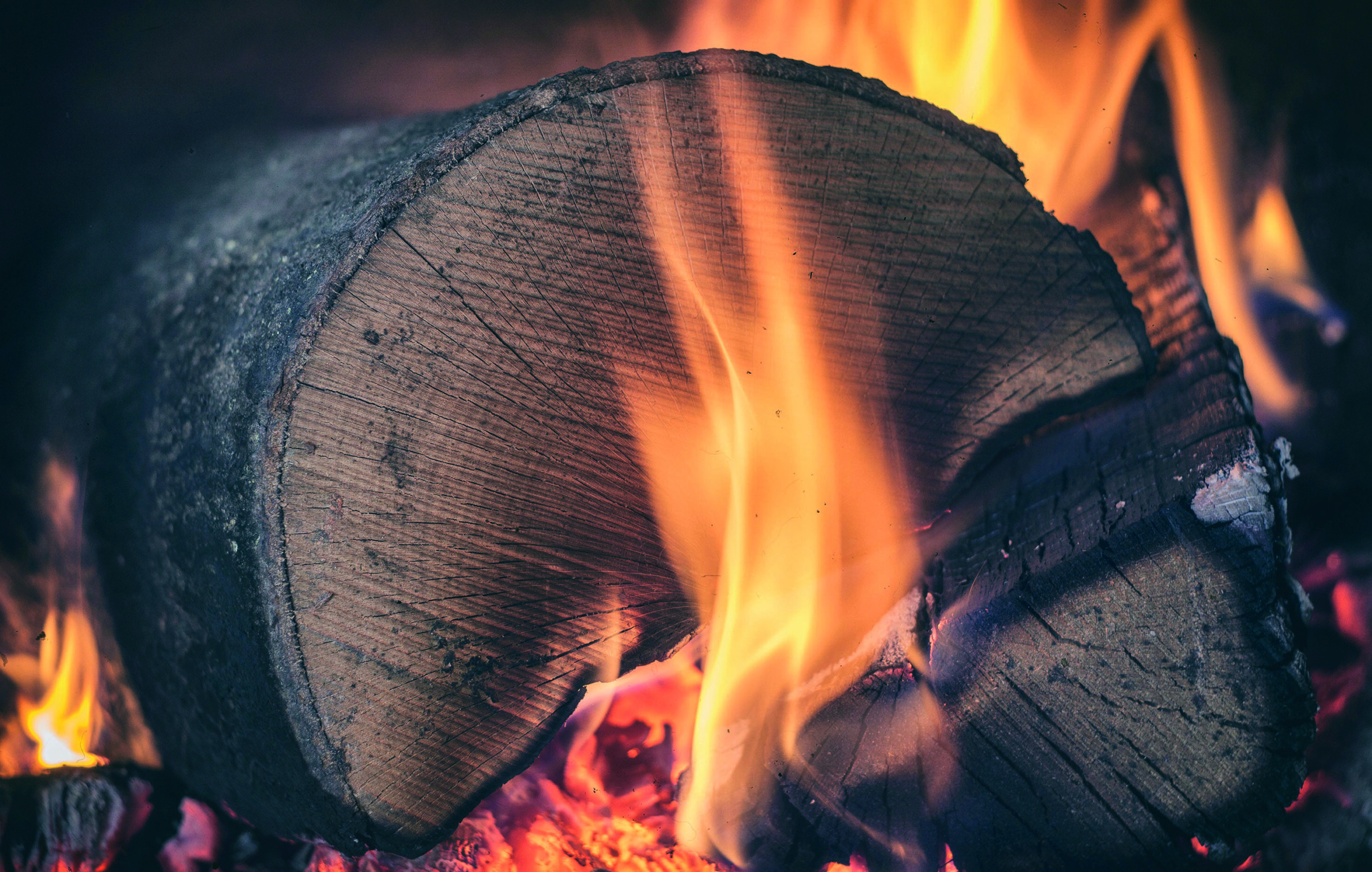 Charbon de bois – Chauffage bois aujourd'hui : Magazine professionnel du  chauffage domestique au bois
