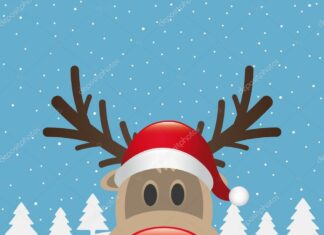 L’invité de la semaine : Rudolph