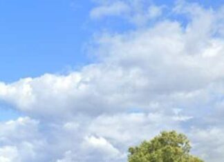 Dole : au fil de l’info