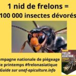 FB_IMG_1711891140211