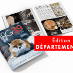MAG39 finale