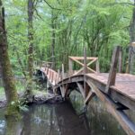 Le pont des scout