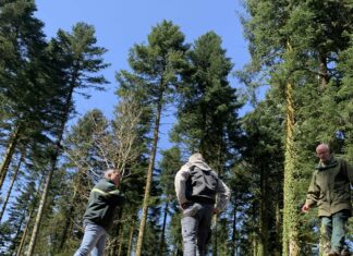 Jura. La forêt, source de préoccupations