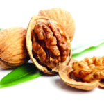 Close up of fresh walnut