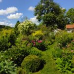 jardin des nouvelles5 ok