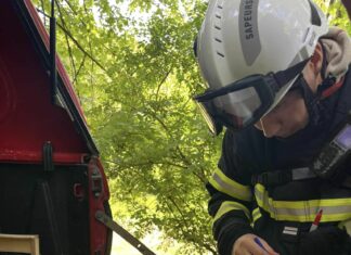 Jura. Les pompiers du département ont accueilli un stage de formation aux feux de forêts