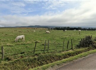 Cœur du Jura. Projet agrivoltaïque sur le territoire d’Arbois