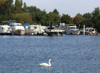 Tourisme fluvial Auxonne