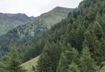 Parc de Bresse Haute-Seille