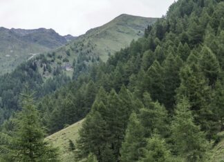 Parc de Bresse Haute-Seille