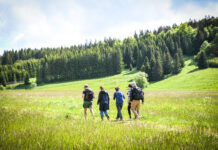 Édito. Comme un lundi : Devant le panneau jaune Randonnée Jura