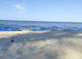 Vacances d’été et ambiance au bureau