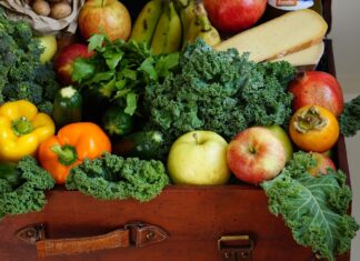 Triangle D’Or. Salins-les-Bains : Un week-end entre saveurs et patrimoine