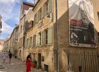 La maison natale de Louis Pasteur accueillera un atelier autour de l'alimentation de la chouette.