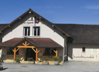 Lons-le-Saunier & Région. Vendanges 2024 : « On n’a jamais connu une saison pareille »