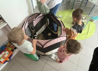 Plaine Jurassienne. La médiation animale fait des heureux à la crèche