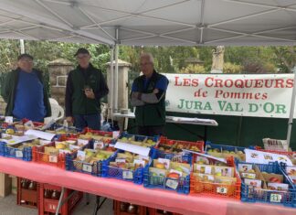 Jura. Une bonne saison pour les pommes jurassiennes