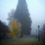 FB_IMG_1730397172083 (1)