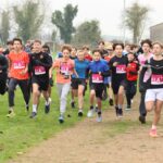cross1