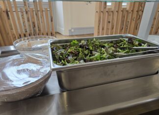 self de l'école élémentaire Wilson à Dole