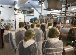 Dole & Région. Les troisièmes du Collège de Chaussin affinent leurs orientations