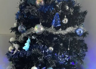 Sapins de Noël