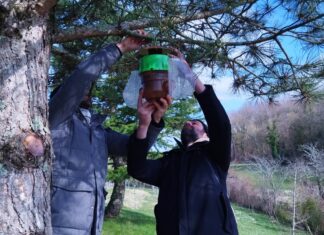 Le premier piège sélectif installé