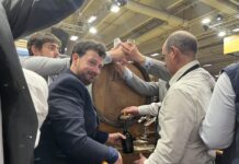 Lons-le-Saunier. 2026, une année festive et culturelle Les Ambassadeurs des Vins Jaunes ont procédé à la mise en perce du millésime 2018.