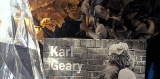 Premier de couverture du livre Juno et Legs de Karl Geary