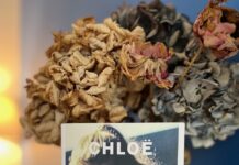 Livre "Repentirs" de Chloë Ashby posé sur une table à côté d'un bouquet de fleurs, photographie par Isabelle Arnould.