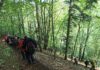 Randonnée Jura - Franche Comté