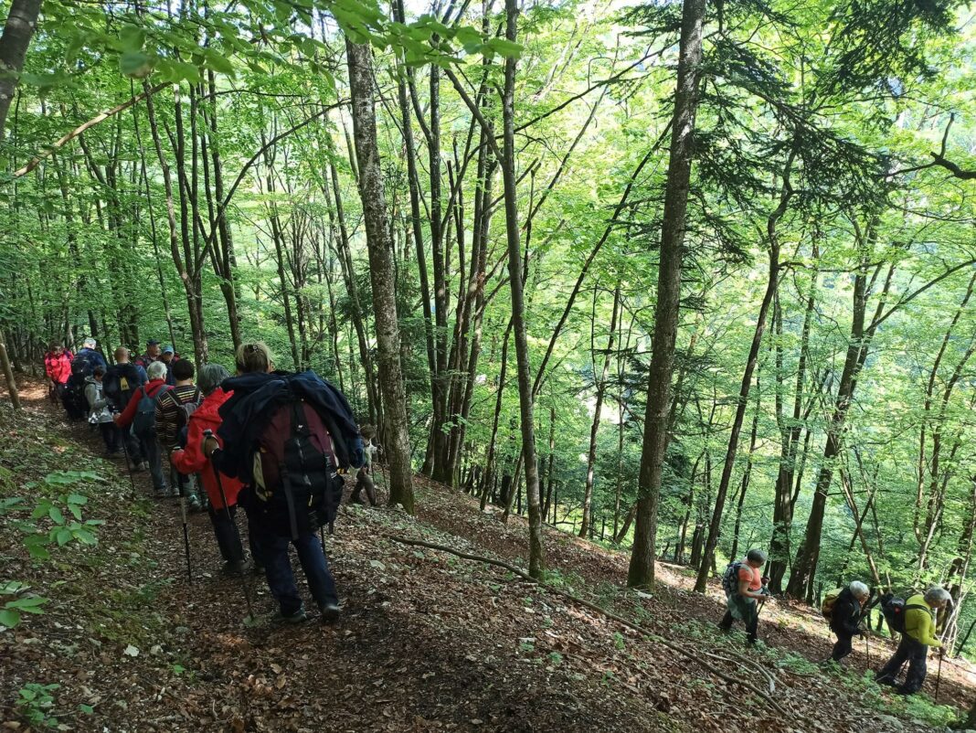 Randonnée Jura - Franche Comté