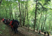 Randonnée Jura - Franche Comté