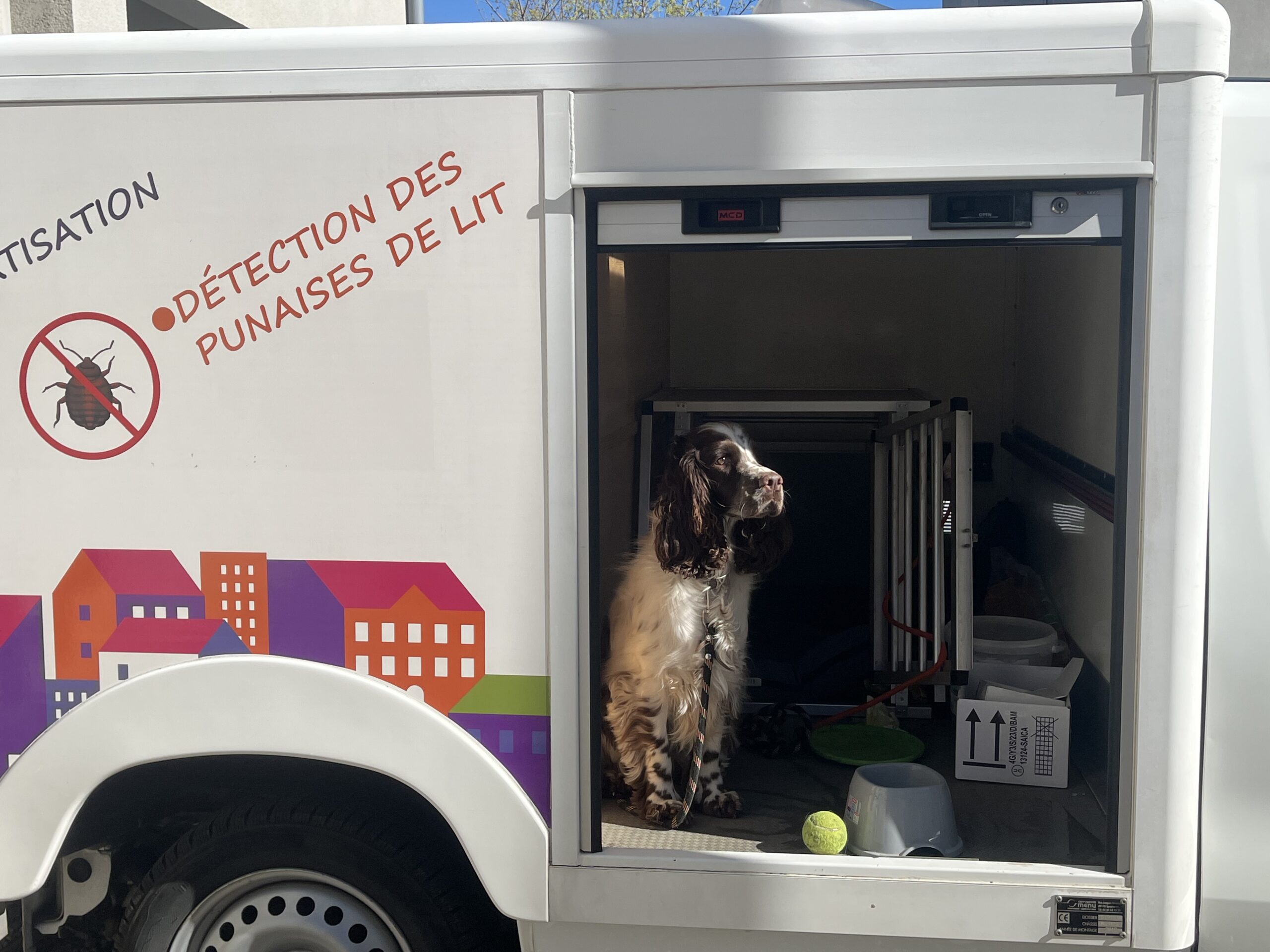 Camion Détection des punaises de lit avec un chien