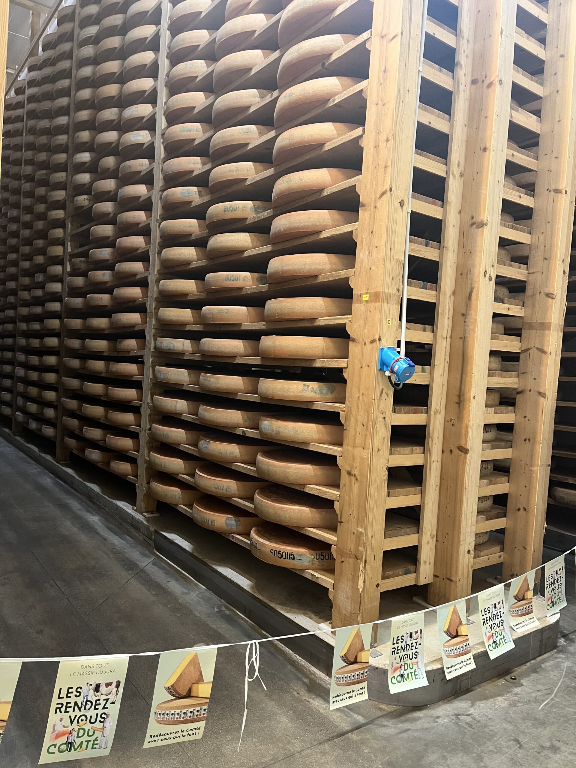 Meules de fromages posés sur les planches en bois d'épicéa dans la cave Monts et Terroirs