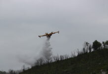 Avion "Dash" en train de propager de l'eau