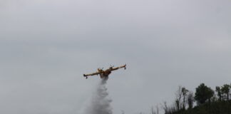 Avion "Dash" en train de propager de l'eau