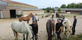 Chevaux et leurs cavaliers