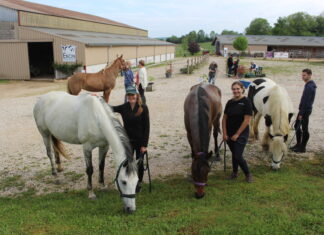 Chevaux et leurs cavaliers