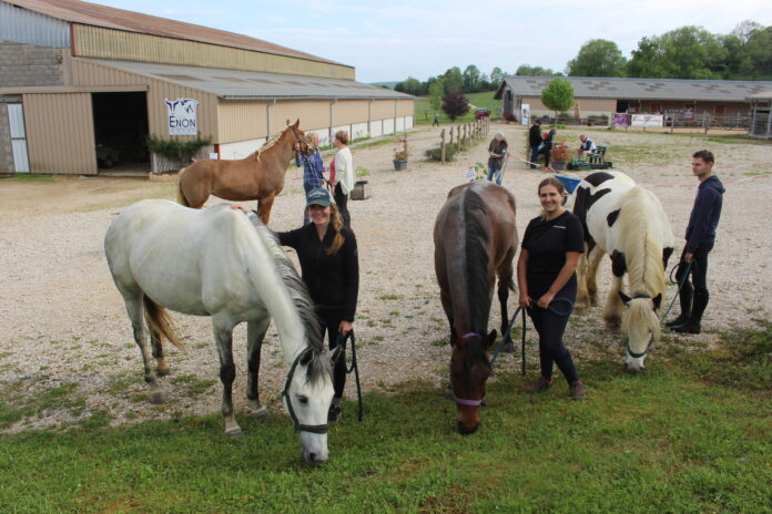 Chevaux et leurs cavaliers