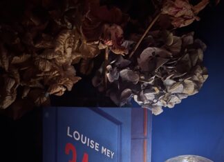 Louise Mey : Le Coin des Livres