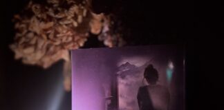Prmiere de couverture livre Silvia Avallone - Coeur Noir