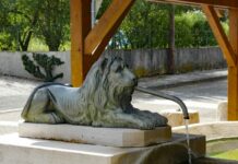 Les Lions, le symbole d'Authume