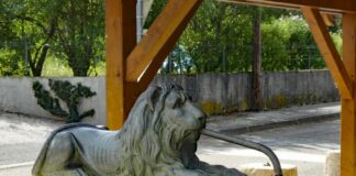 Les Lions, le symbole d'Authume