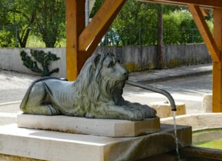 Les Lions, le symbole d'Authume