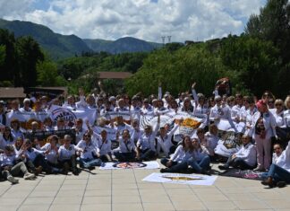 Les participants du RALLYE DES LADIES dans le Jura